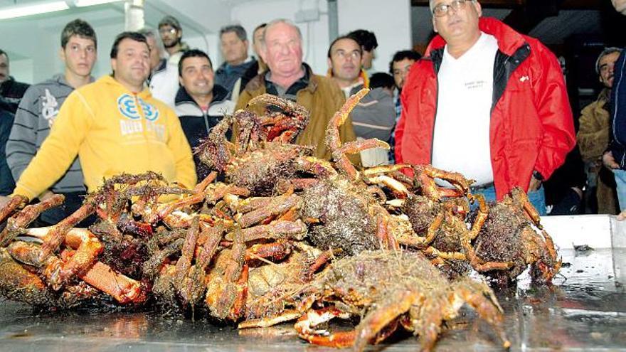 La campaña de la centolla arranca con precios más bajos que en 2007, sin superar los 16 euros