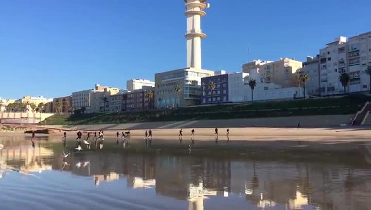 Imágenes grabadas esta mañana en la playa Santa María del Mar de Cádiz