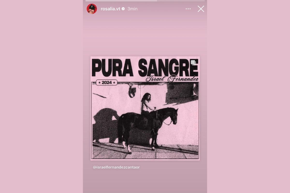 Rosalía compartiendo en su Instagram la gira de conciertos de Israel Fernández