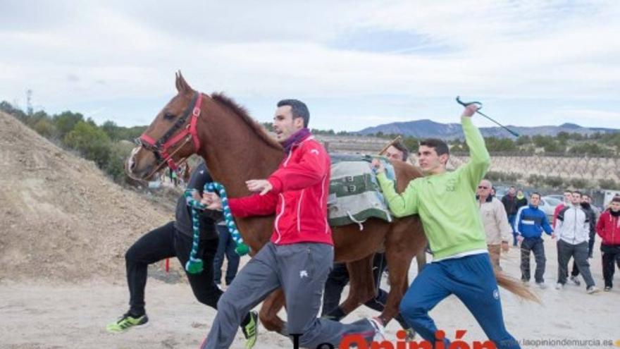 Inauguración cuesta de entrenamiento de los Caballos del Vino