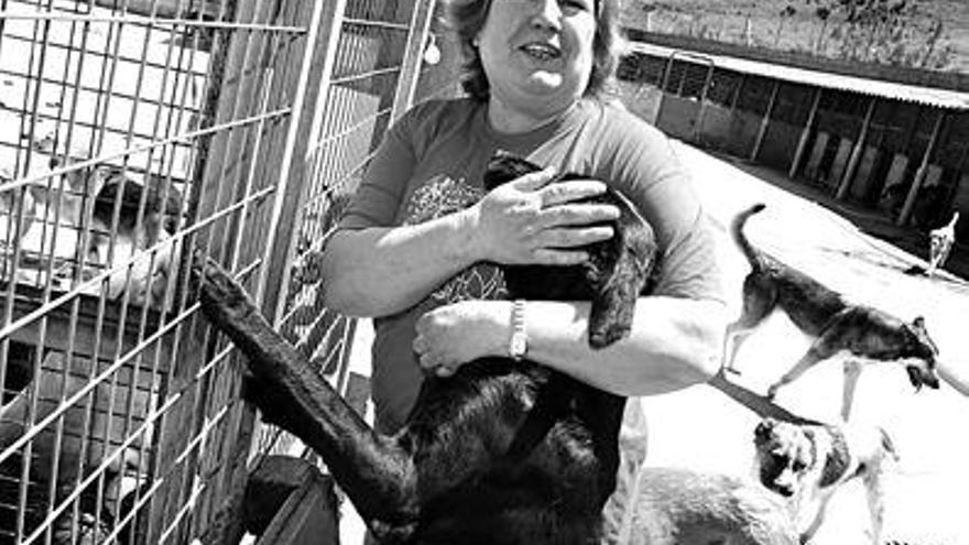 Ángela Rodríguez es la responsable, desde hace cinco años, del refugio de animales de Vilagarcía. / j.l. oubiña