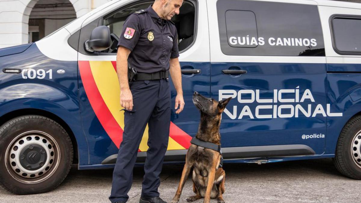 El agente José David Rodríguez García, con la perra «Gea de Zhorava», en las instalaciones policiales de Buenavista, en Oviedo. | Policía Nacional