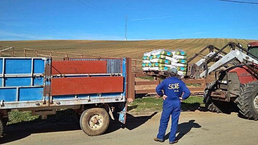 La pala deposita los sacos de semilla certificada en un remolque, en presencia de un agricultor.