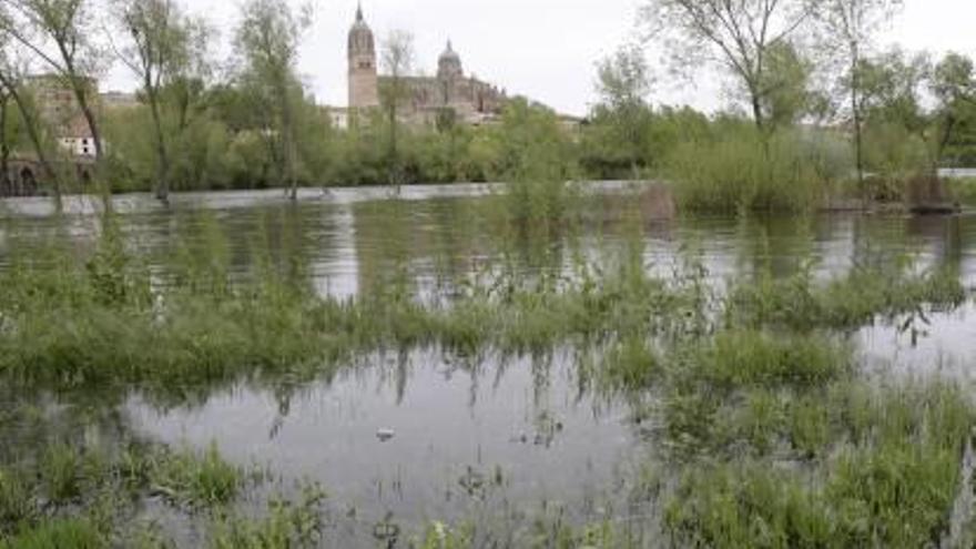 Las lluvias dejan 601 hm3 en la cabecera del Tajo y abren la puerta a duplicar el trasvase