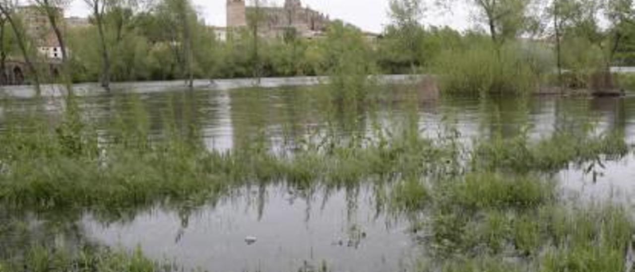 Las lluvias dejan 601 hm3 en la cabecera del Tajo y abren la puerta a duplicar el trasvase