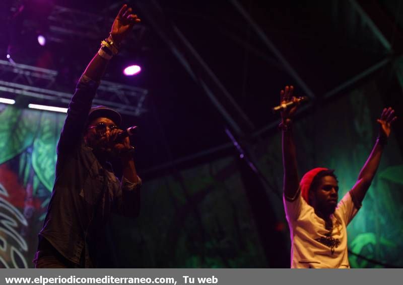 GALERÍA DE FOTOS- Cuarta Jornada del Rototom 2014