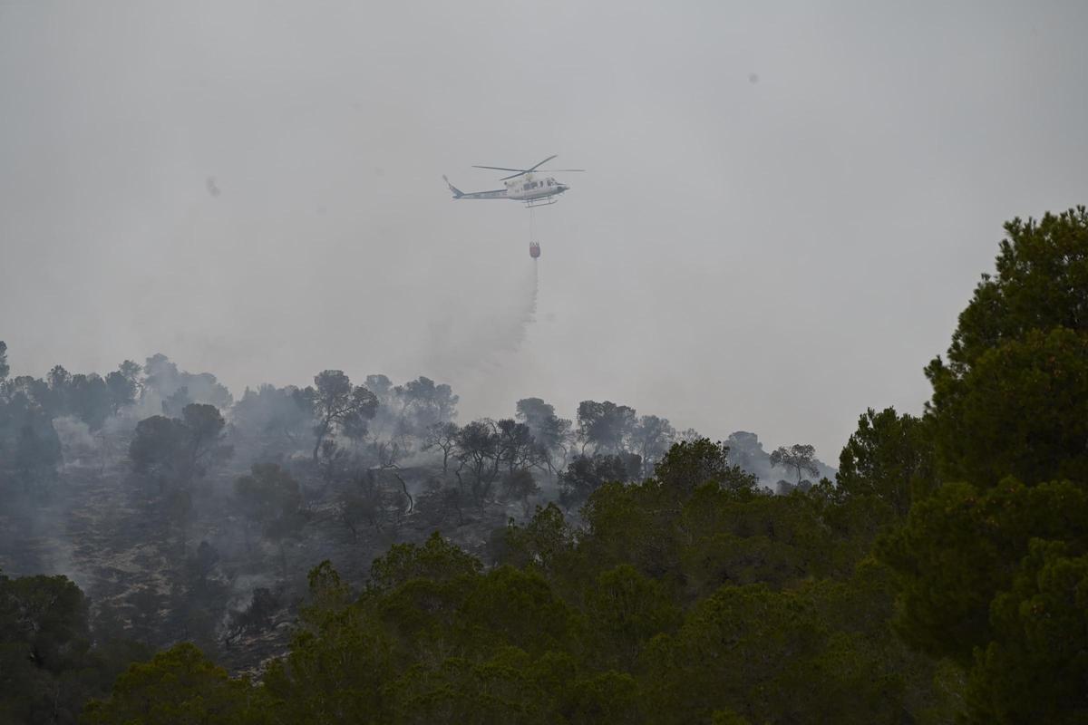 Fuego en Algueña: así está siendo el operativo para la extinción