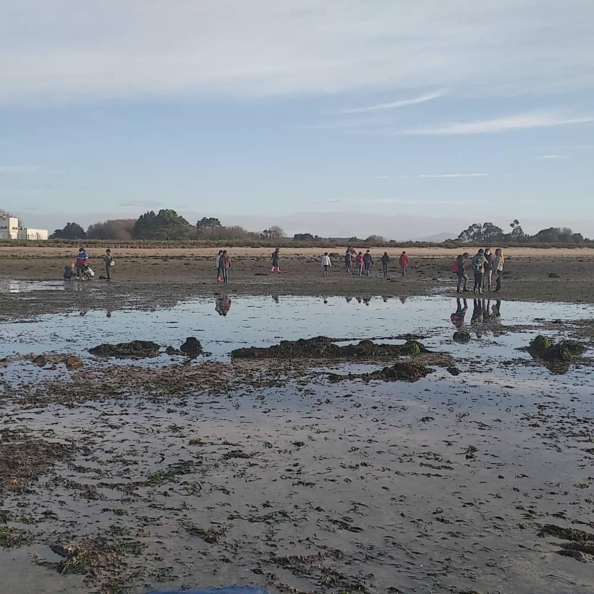 Los alumnos pudieron estudiar las praderas marinas sobre el terreno.