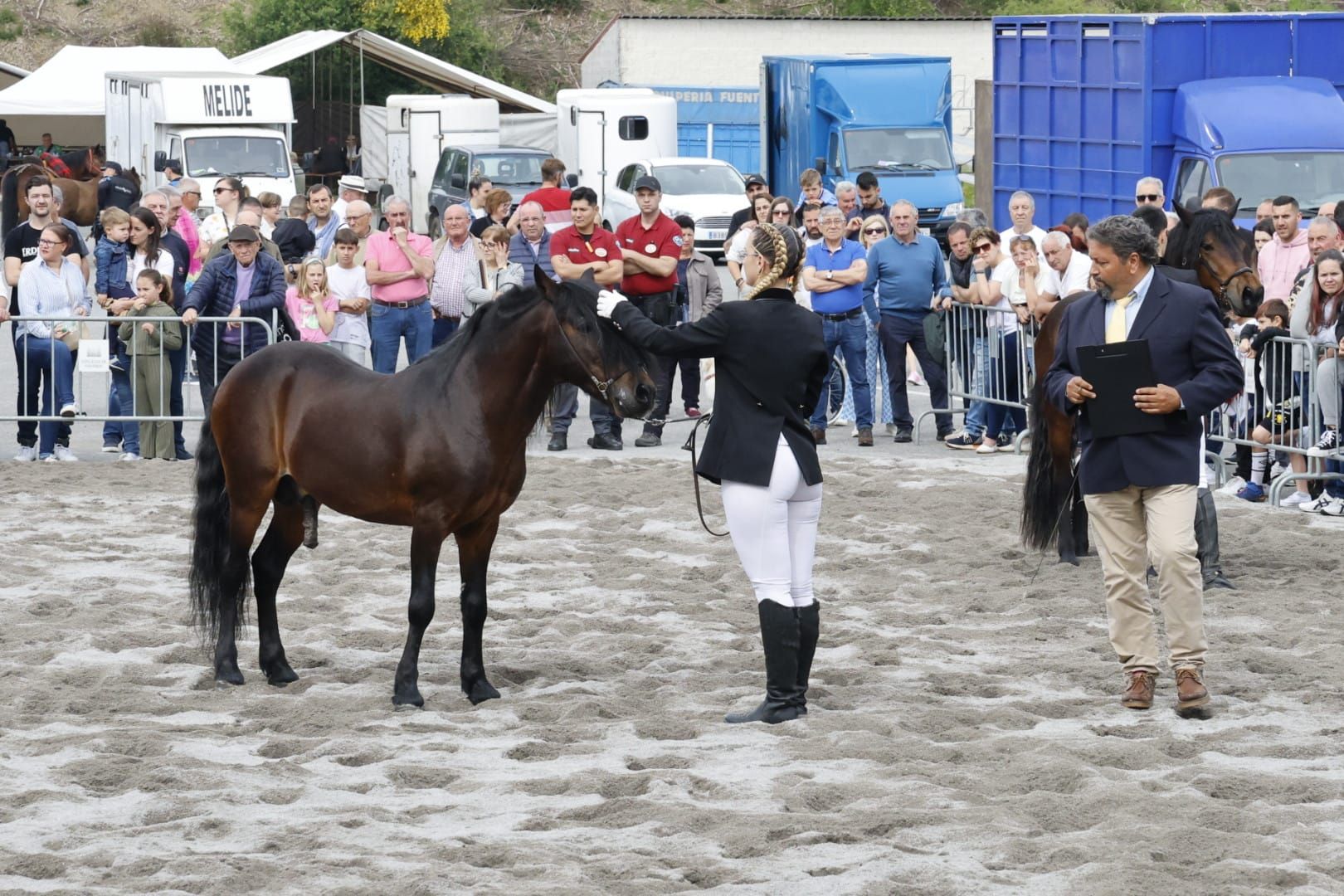 Éxito de la Feira Cabalar de la Ascensión en Amio