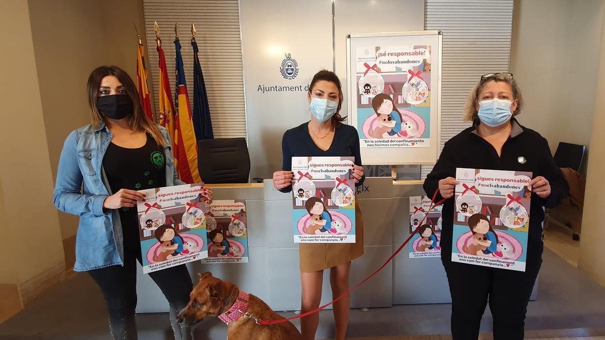 Una imagen de la campaña contra el abandono de animales en Elche