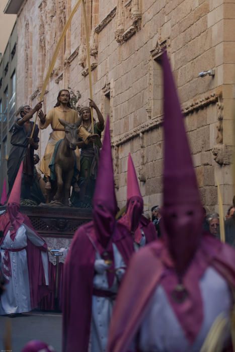 Procesión de La Borriquita