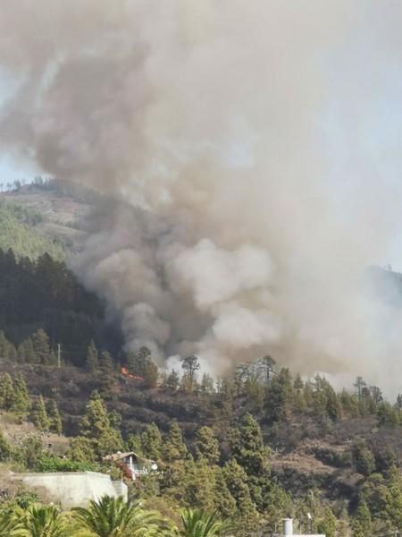 Conato de incendio en Tijarafe