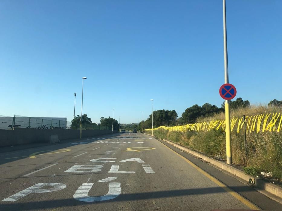 La carretera d’accés al Puig de les Basses queda tenyida de groc