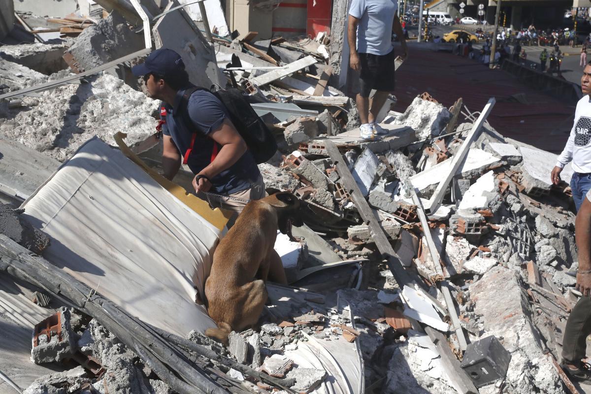 Un grupo de persona fue captado este 10 de agosto al buscar en medio de los escombros de un inmueble colapsado este lunes en Cali (Colombia). Un grupo de persona fue captado este 10 de agosto al buscar en medio de los escombros de un inmueble colapsado este lunes en Cali (Colombia).