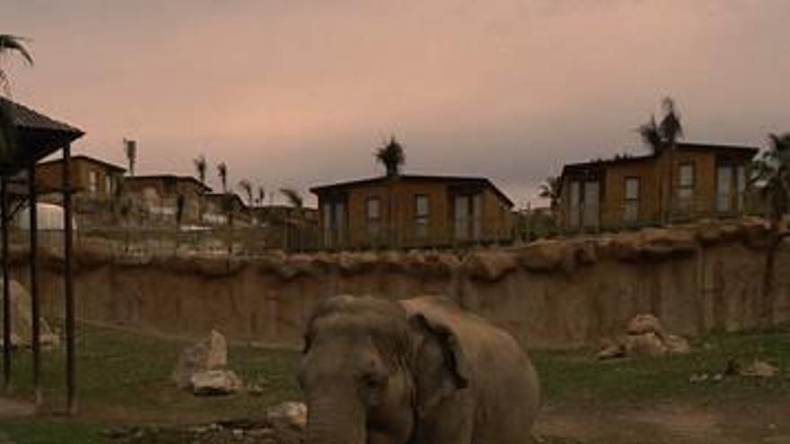 Safari nocturno en Terra Natura