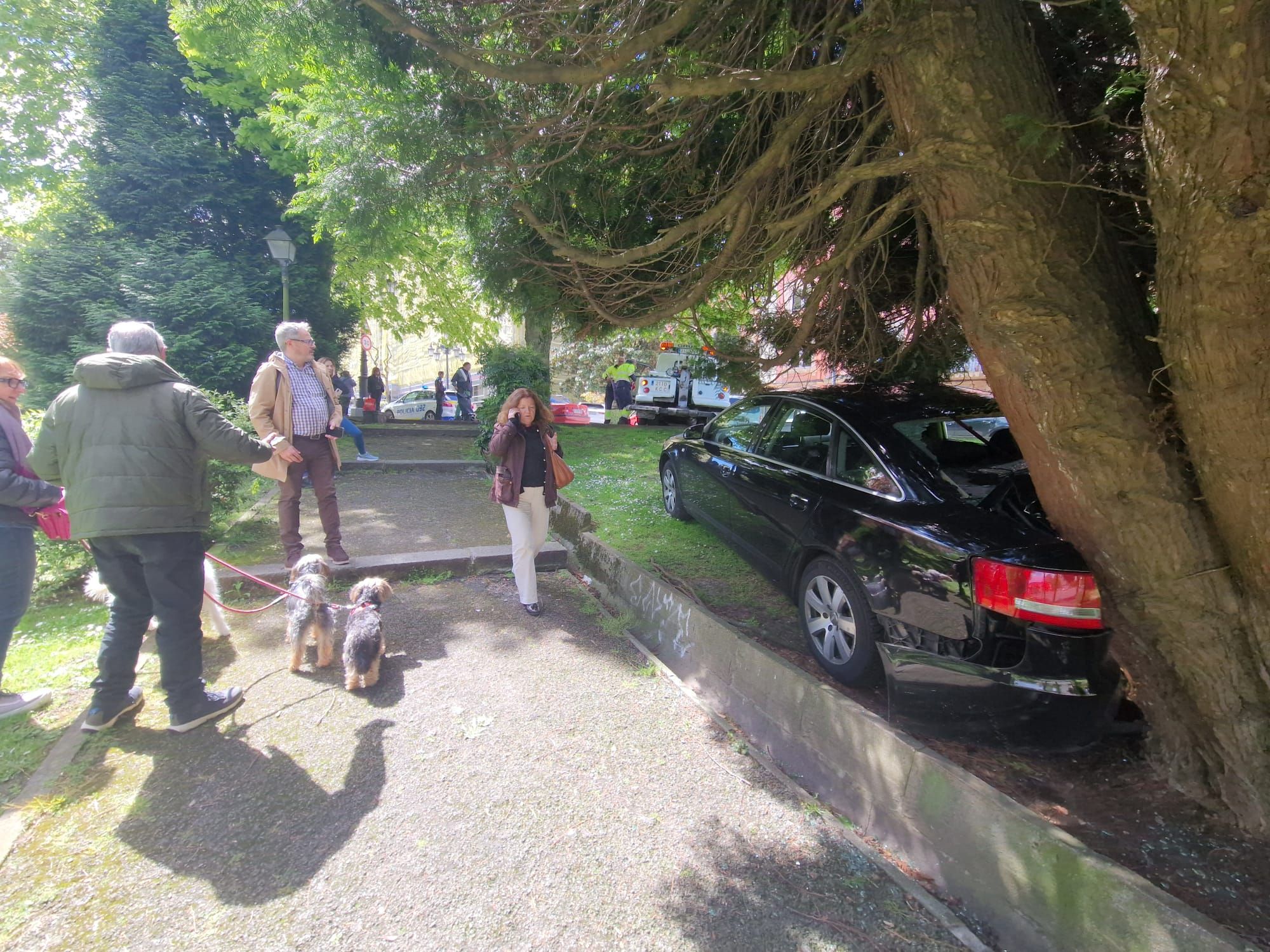 EN IMÁGENES: Un coche irrumpe en uno de los parques más conocidos de Oviedo para sorpresa de los peatones