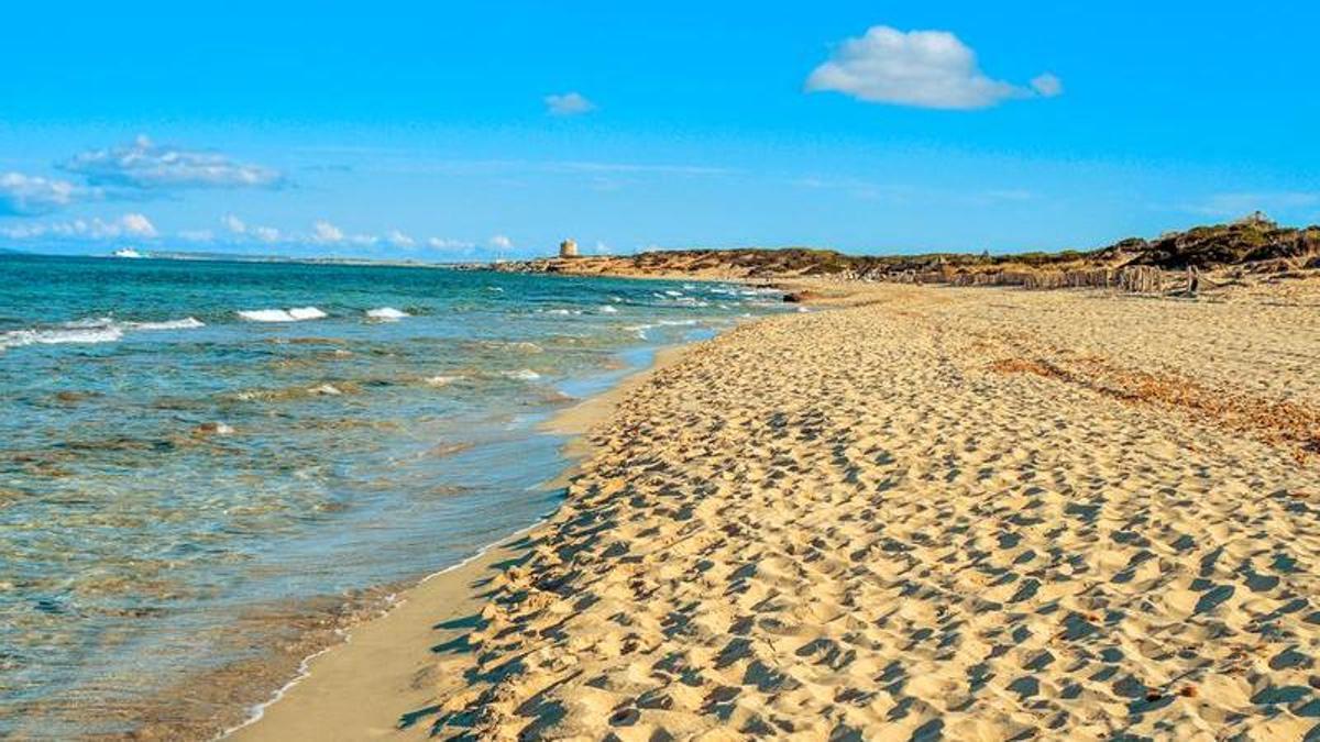 Es Cavallet de Ibiza se consolida como una de las 25 mejores playas nudistas del mundo