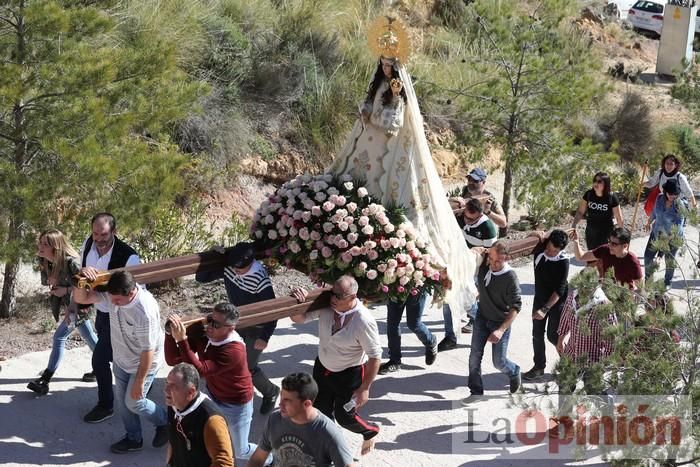 Romería de La Hoya (II)