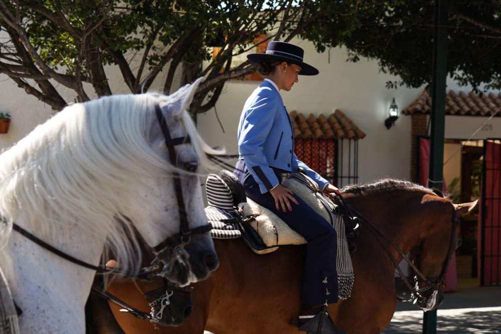 Primeros caballos en el Cortijo de Torres