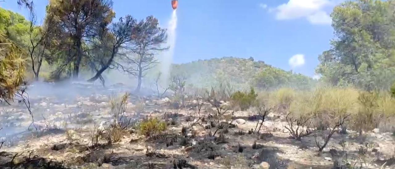 Incendio forestal entre Biar y Sax