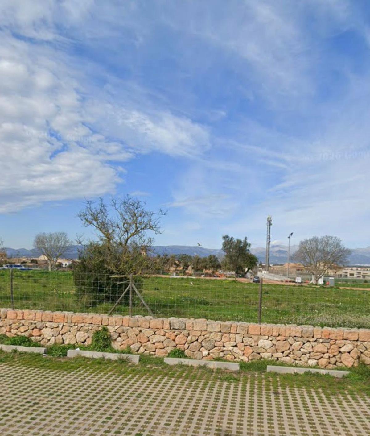 El solar para construir el futuro IES en Algaida.