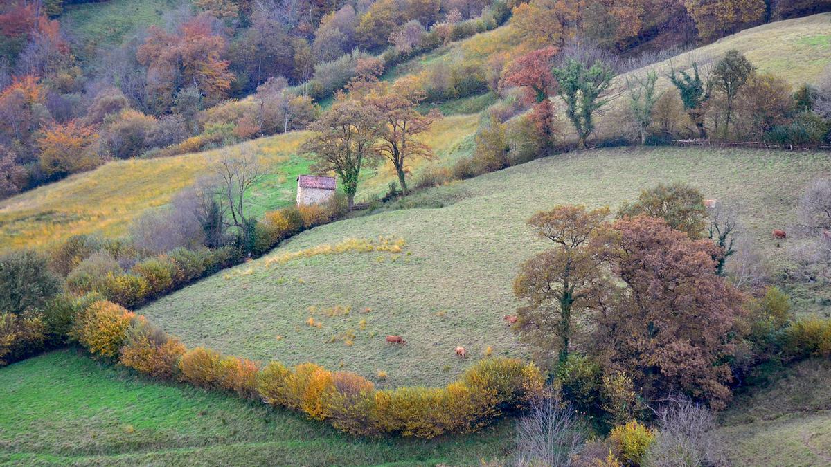 Paisaje otoñal en el entorno del área recreativa de Viapará (Riosa).