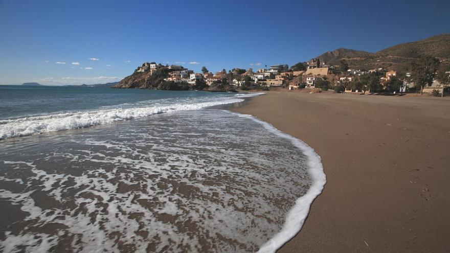 El cambio climático atrae especies tropicales a la costa de la Región de Murcia