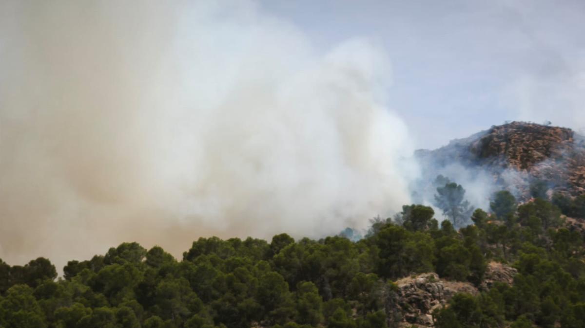 Las imágenes del grave incendio forestal en Los Garres (Murcia)
