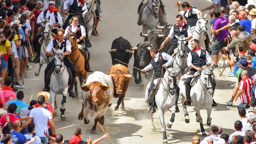 Todas las fotos de la quinta Entrada de Toros y Caballos de Segorbe