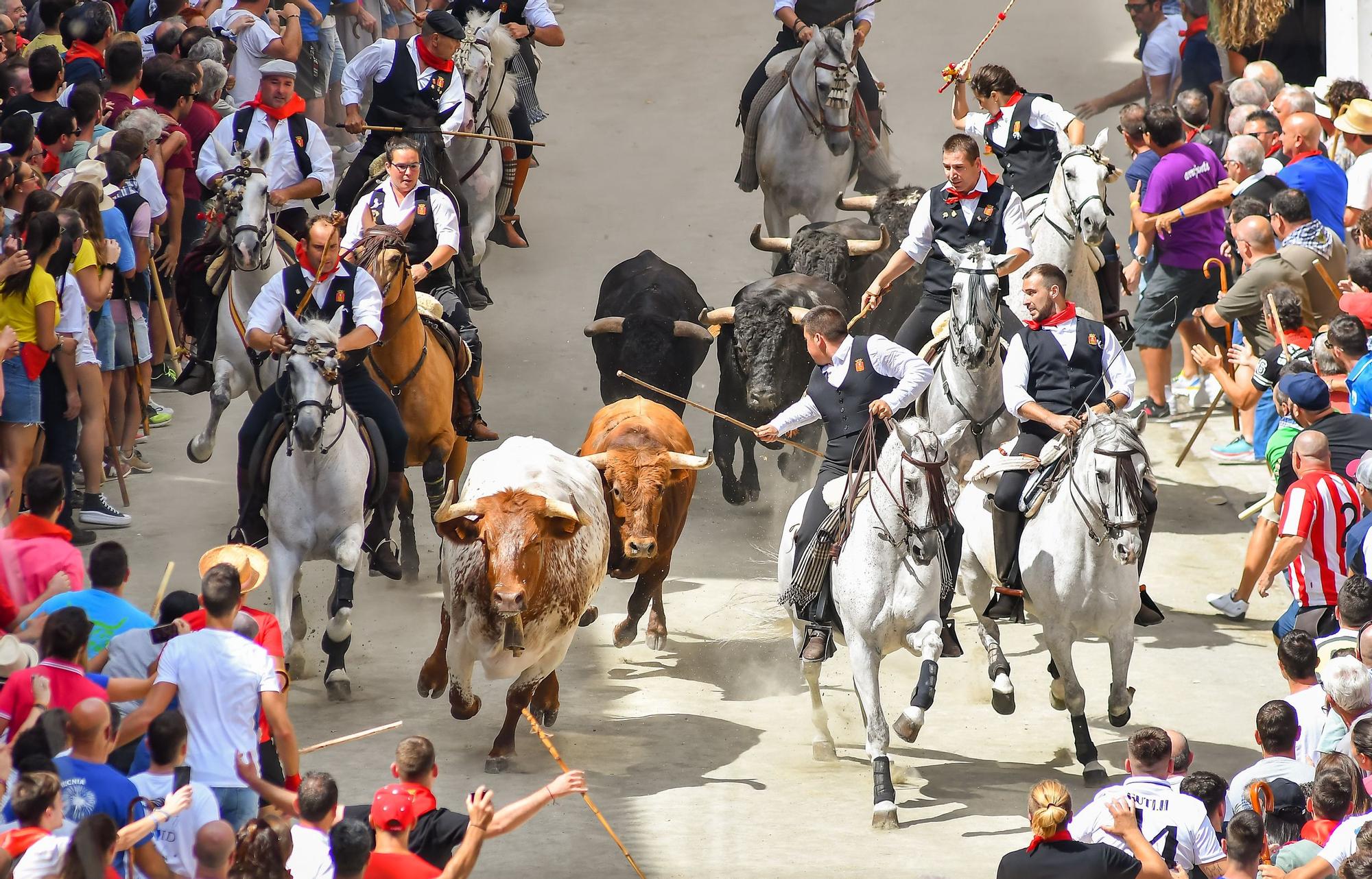 Todas las fotos de la cuarta Entrada de Toros y Caballos de Segorbe