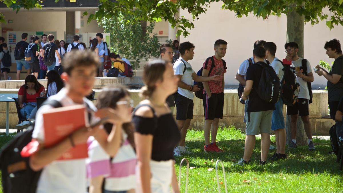 Estudiantes en el campus de la Universidad de Alicante