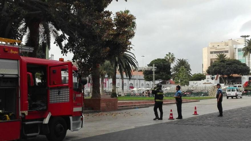 Corte de una rama peligrosa en el Parque Santa Catalina