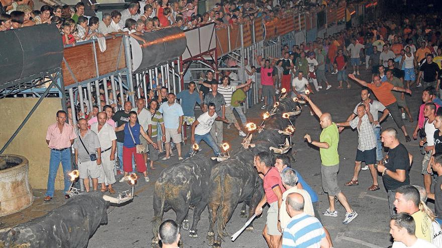 Los «bous embolats»son una tradición muy arraigada en la Marina Alta.