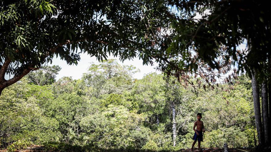 El futuro del Amazonas (y la crisis climática) también se juega en las elecciones de Brasil