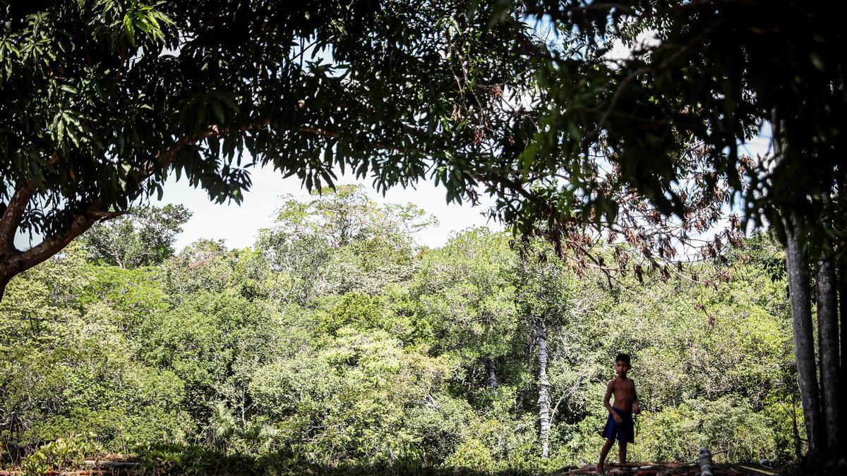 Un niño de la reserva indígena los Tenharim en el Amazonas brasileño.