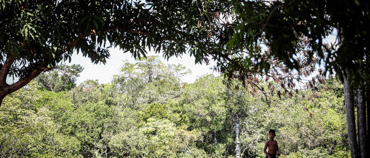 Un niño de la reserva indígena los Tenharim en el Amazonas brasileño.