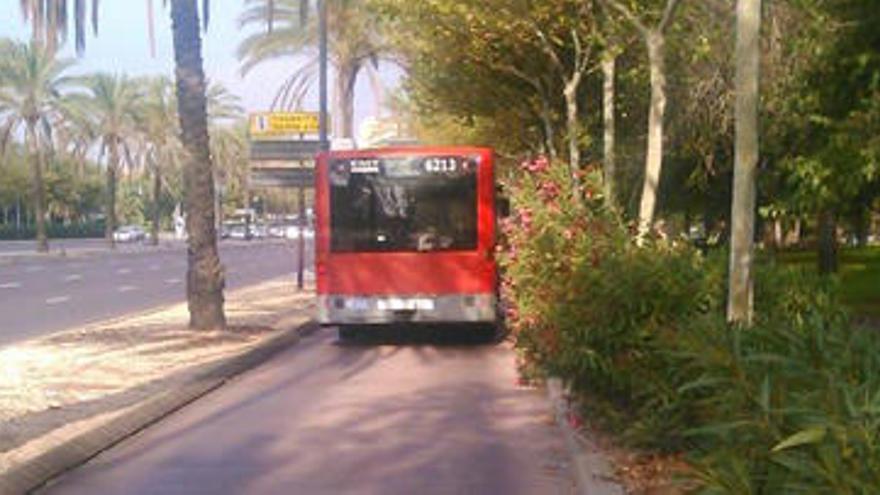 Foto tomada por la formación política, con los setos sobre el bus.