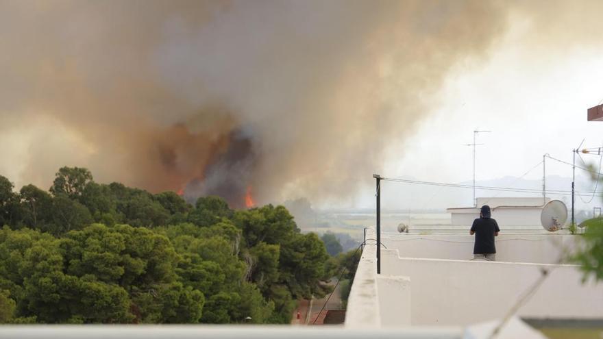 Así han sido los trabajos de extinción del incendio de El Saler este jueves