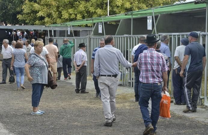 ARUCAS GRAN CANARIA A 27/05/2017. Feria de Ganado en la Granja del Cabildo de Gran Canaria. FOTO: J.PÉREZ CURBELO