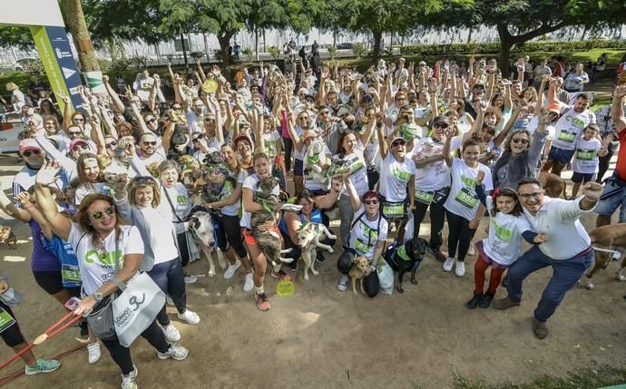 16/12/2018 LAS PALMAS DE GRAN CANARIA. Carrera ...