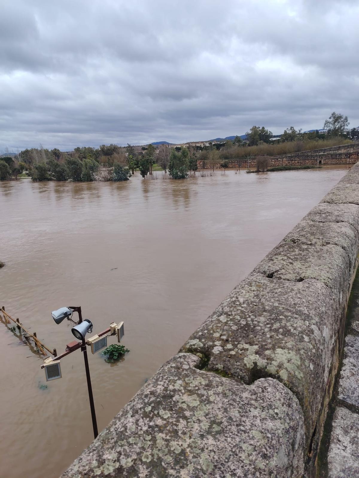 La crecida del río Guadiana a su paso por Mérida anega el parque de La Isla La crecida del río Guadiana a su paso por Mérida anega el parque de La Isla