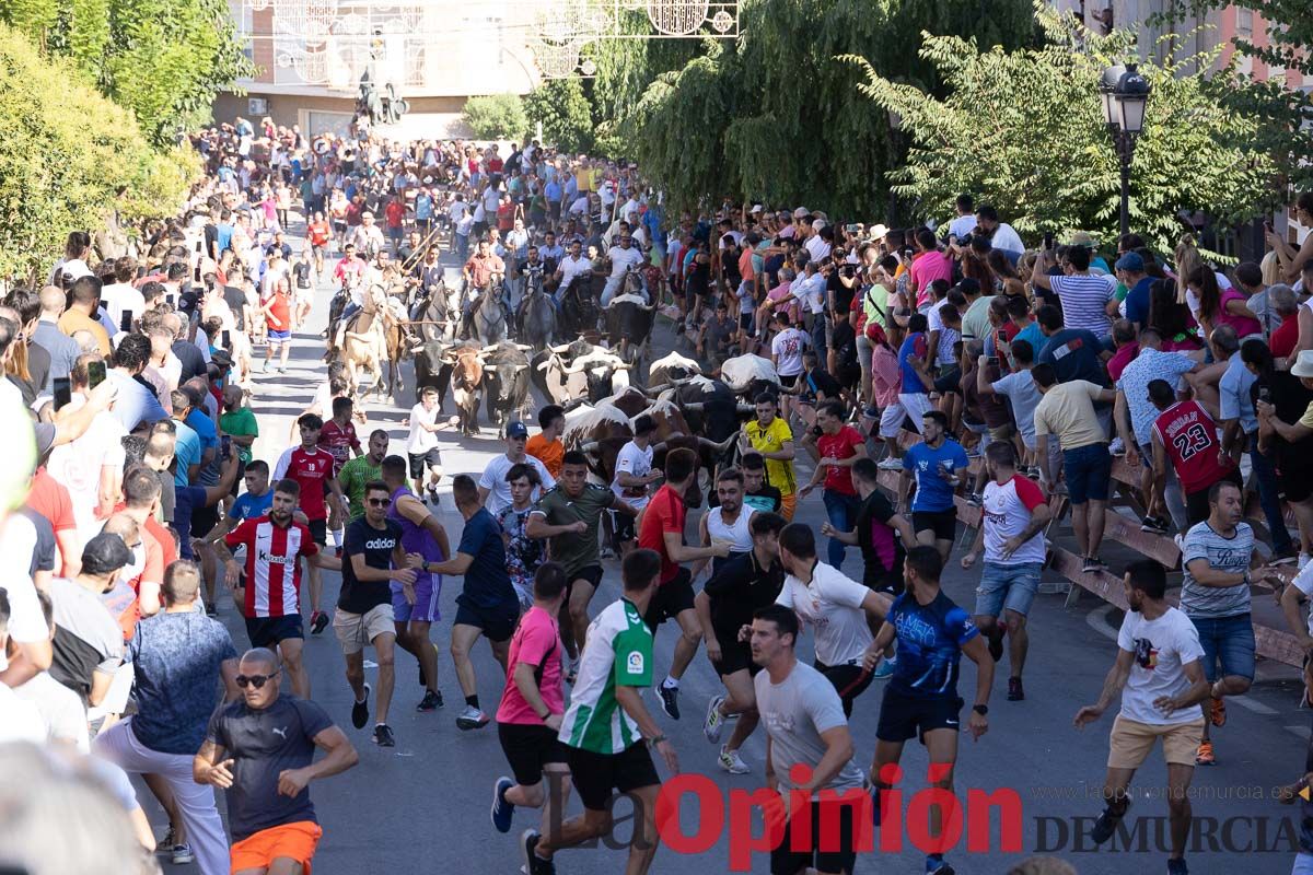 Último encierro en las Fiestas de Moratalla