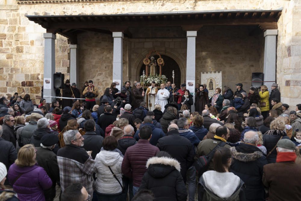 Bendición de animales de San Antón