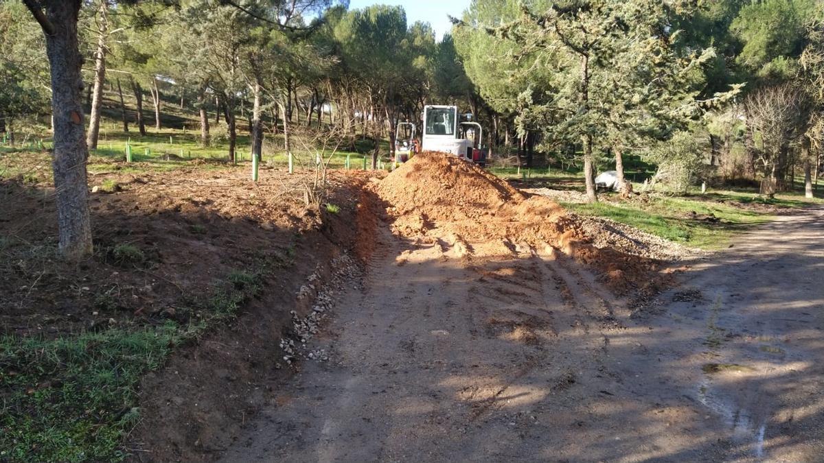 Resultados del plan Renaturaliza en el bosque de Valorio de Zamora: plantación de 4.400 árboles