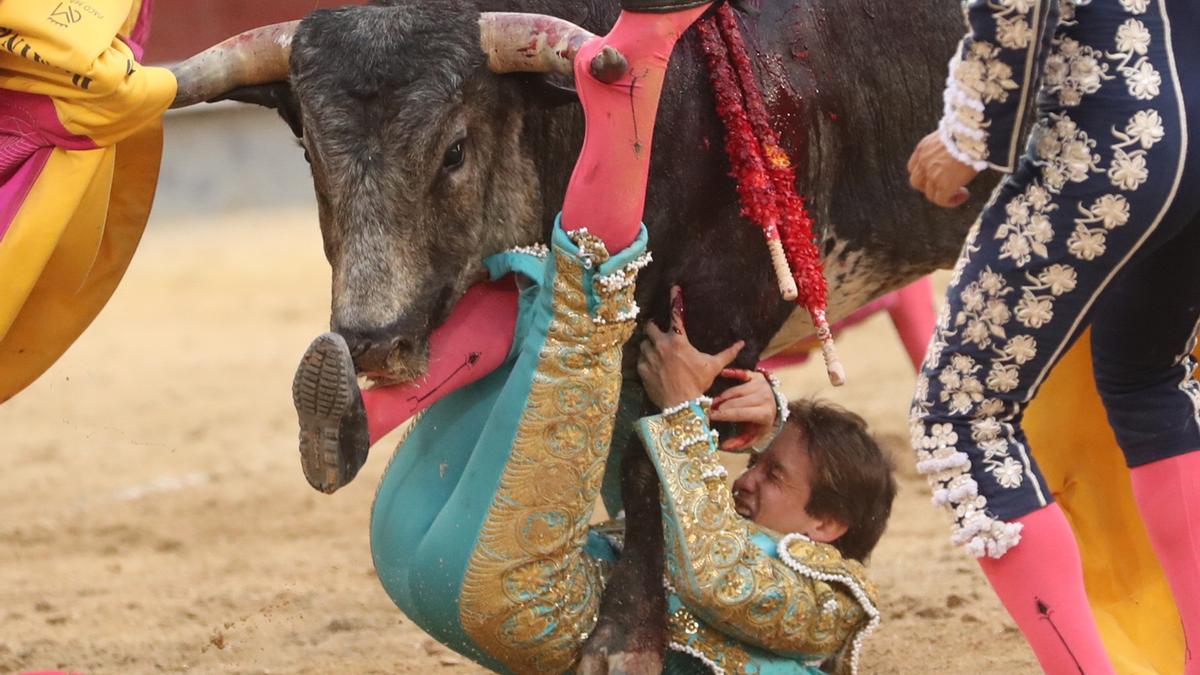El mexicano Arturo Gilio, segundo torero corneado en Las Ventas - Diario  Córdoba