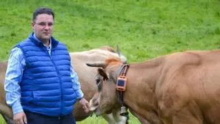 El ganadero de nueva generación que controla con el móvil a sus 38 vacas: "Te da tranquilidad"
