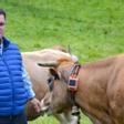 Luis Miguel Ramos Álvarez posa con algunas de sus vacas monitorizadas con el collar Rumi, en una de sus fincas de Oviedo