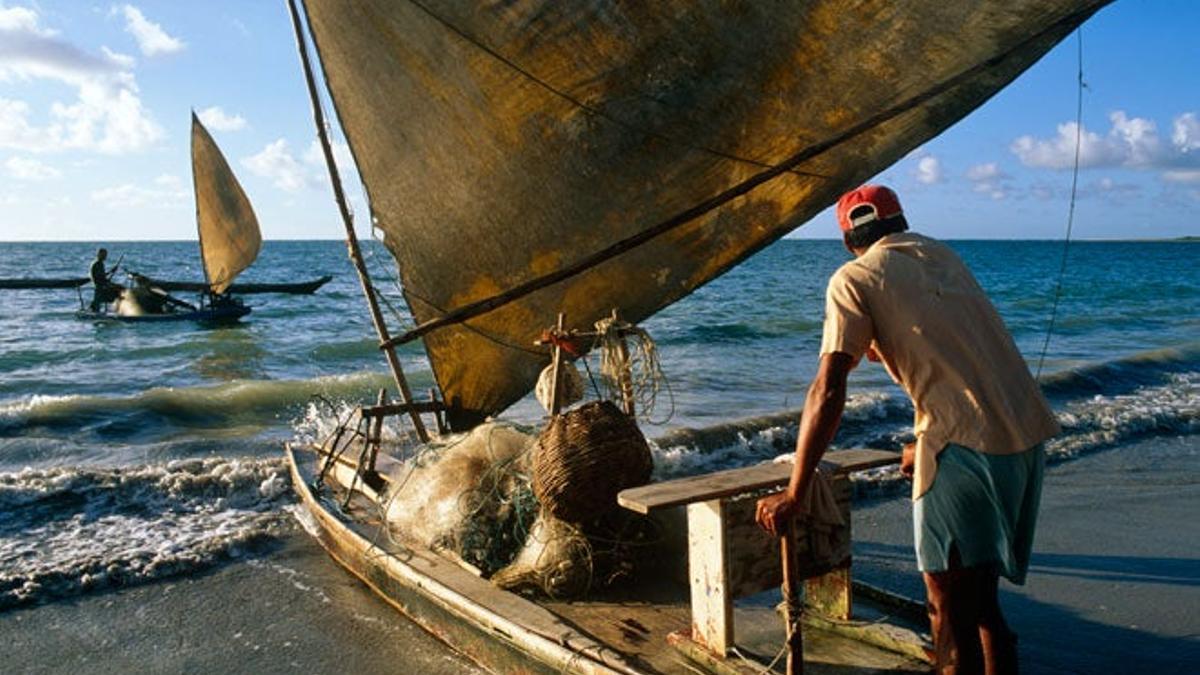 Barcas de pescadores en Barra do Camarajibe.