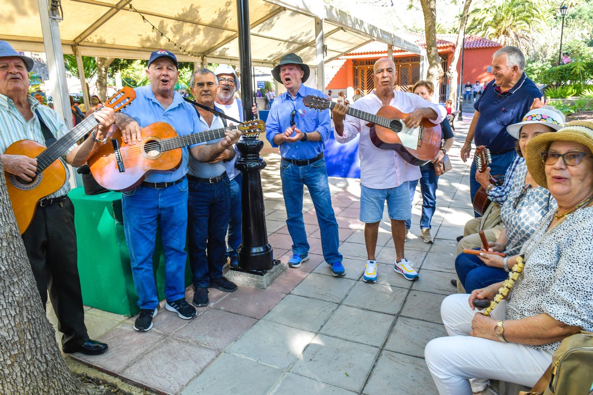 Fiestas de Santa Lucía de Tirajana