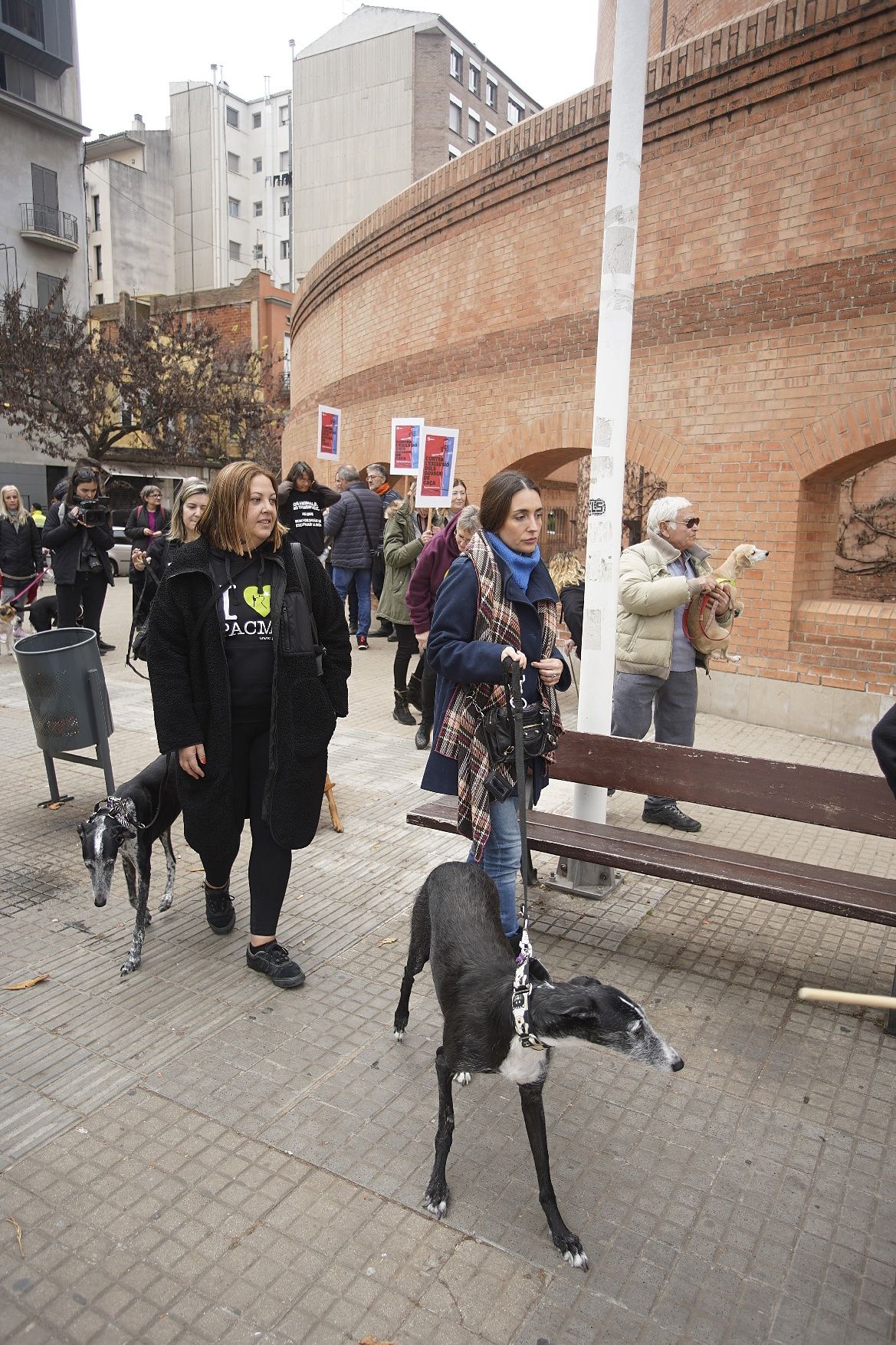 Concentracions del PACMA a Girona per reclamar incloure els gossos de caça a la llei de protecció animal